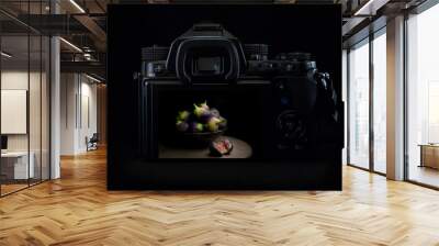 DSLR camera or mirrorless body lit by a rim light showing a still life fig photo on the back of the camera display. Low key light photography Wall mural