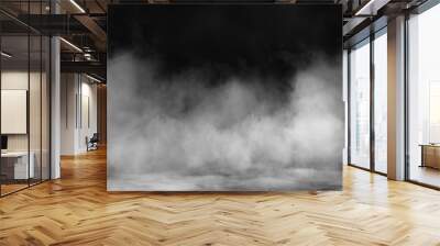 Fog and mist effect on black background. Smoke texture  Wall mural