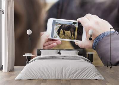 Man taking picture of a horse Wall mural