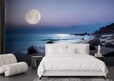 moonlit rocky serene beach scene rocks under night sky shoreline tranquil coast peaceful ocean sandy shore calm twilight seascape boulders dark horizon Wall mural