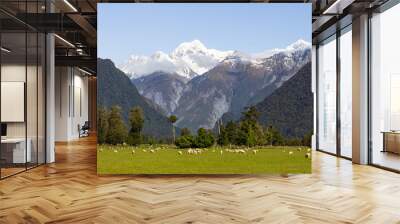 Mount Cook, Mount Tasman. Southern Alps, New Zealand Wall mural