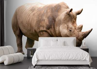 Fauna of the African savanna, endangered species and large mammals  concept theme with an adult rhino isolated on white background with a clipping path cut out Wall mural