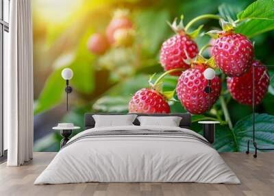 Vibrant sunlit ripe strawberries, red berries glowing under the warm rays of the sun Wall mural