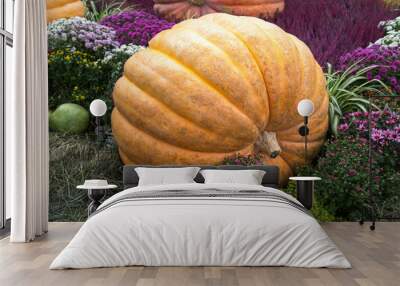 Pumpkin of huge size varieties Atlantic giant on the background of flowers of yellow leaves, hay. Food, vegetables, agriculture, healthy foods. Wall mural