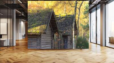 Two wooden houses in the fall in the forest Wall mural