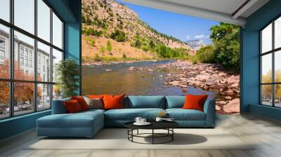 Animas river in Durango area, Colorado, in summer season Wall mural