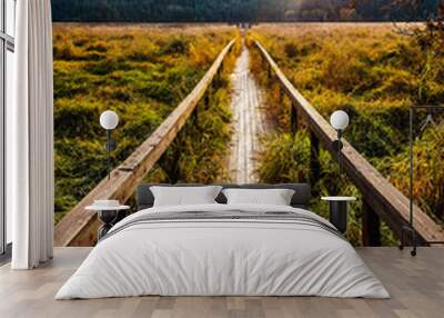 Autumn boardwalk in Liberty Lake, Washington Wall mural