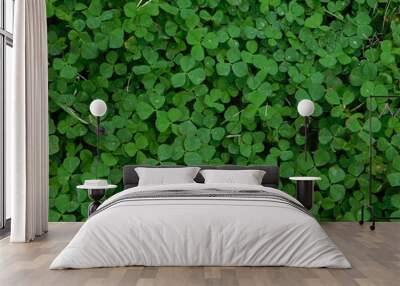 background of green leaves Wall mural