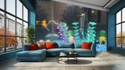 Fish in aquarium Wall mural