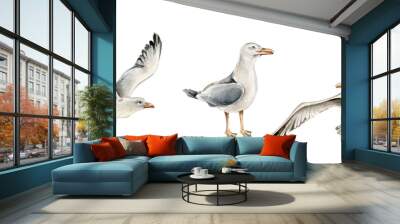 Hand drawn watercolor sea gulls collection Wall mural