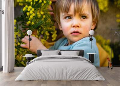 little girl sitting in arms of her father and observing blooming mimosa Wall mural