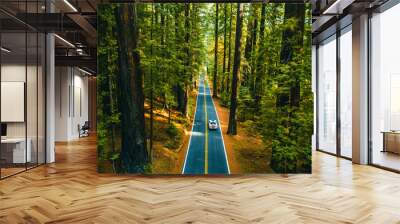 A car driving over the avenue of the giants through the redwoods Wall mural