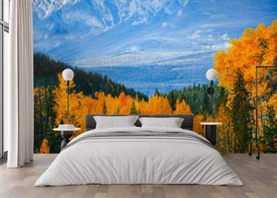 Scenic road trip with rocky mountain in autumn forest at Jasper national park, Canada Wall mural