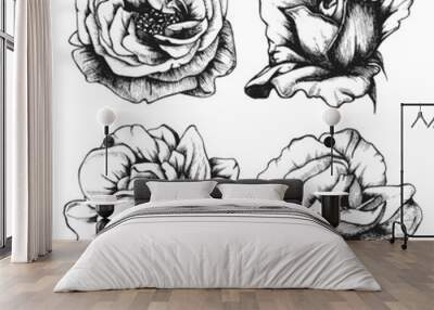 Set of highly detailed hand-drawn roses. Wall mural