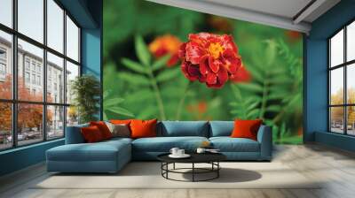 red flower in the garden Wall mural