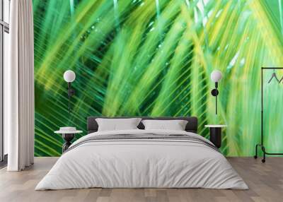 Green background made of pattern with palm tree leaves Wall mural