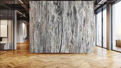 Close up of weathered grey textured wood  Wall mural