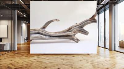 Light Wooden driftwood branch isolated on a white background. Wall mural