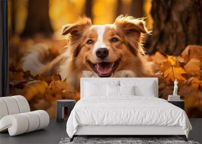 Portrait of a collie dog lying in the autumn leaves in the park Wall mural