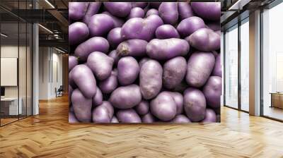 Purple potatoes on the market stall, close-up, background Wall mural