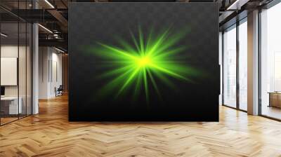 Glow isolated green light effect, lens flare Wall mural