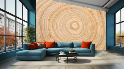 The texture of a wooden saw cut of a tree with silt with a pronounced pattern of annual rings Wall mural