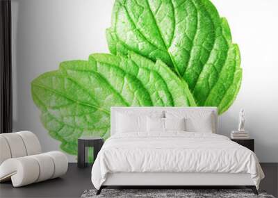 Two mint leaves isolated on white background. Wall mural