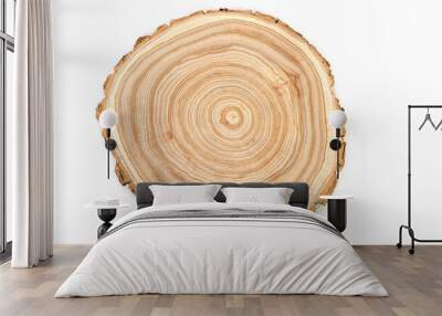 Wooden saw cut of a tree silt with a pronounced pattern of annual rings on a white background Wall mural