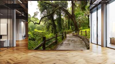 Winding footpath at Rainbow Springs, FL Wall mural