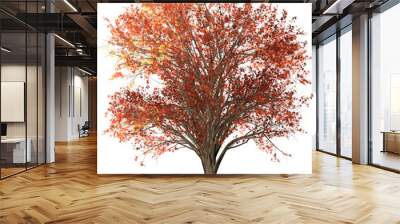 autumn tree isolated Wall mural