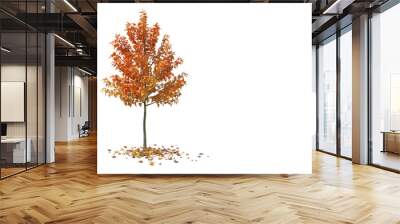 Beautiful Autumn Season Wall mural