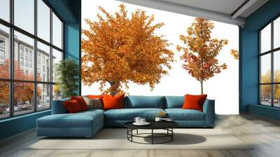 Set of Autumn Trees isolated Wall mural