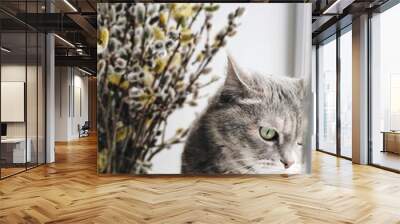 Cat Wall mural