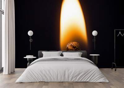 Lighting matches at the moment when it explodes. Burning match over black background. Close up. Copy space. Wall mural