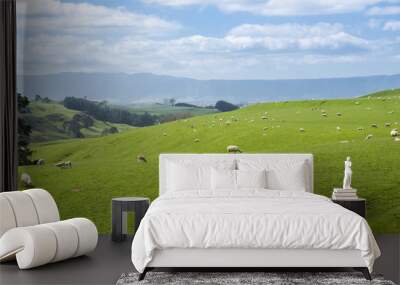 View of green hills in New Zealand. Wall mural