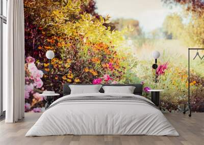 Autumn garden background with various fall flowers Wall mural