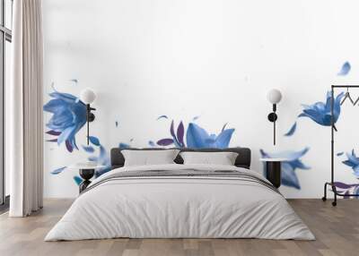 Beautiful floral overlay with flying blue flowers and petals, border,  isolated on transparent background Wall mural