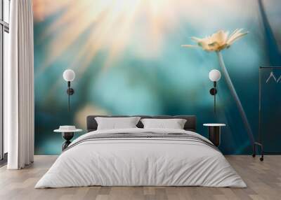 Beautiful nature background with wild yellow buttercup flower and sun rays Wall mural