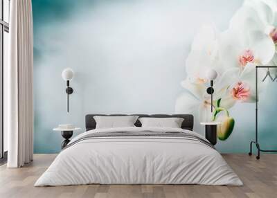 Floral border with Beautiful white orchid flowers at blue background. Nature , spa or wellness concept Wall mural