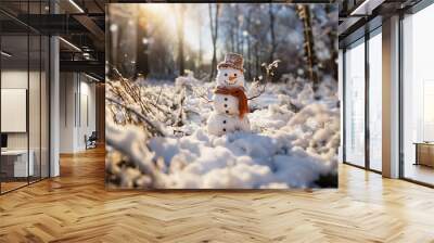 Funny snowman im park at winter landscape with snowfall and sunbeams, outdoor Wall mural