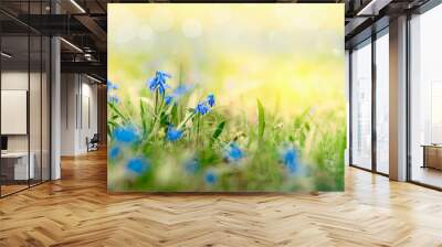 Sunny summer nature background with blue flowers in grass with sunlight and bokeh. Outdoor nature Wall mural