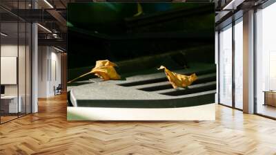 partial view of a car with two leaves falling from a tree in autumn on top of it, fall concept Wall mural