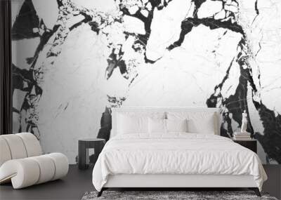 Black and White marble texture, Carrara marble background Wall mural