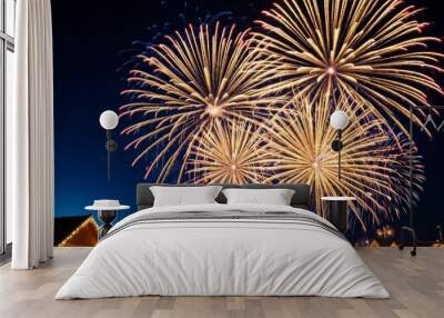 A pair of resplendent fireworks bloom like cosmic flowers against the night sky, symbolizing celebration and grandeur. The intricate patterns are a marvel of pyrotechnics. Wall mural