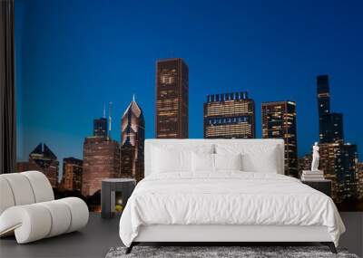 Chicago skyline panorama from Park at night time. Chicago, Illinois, USA. Skyscrapers of financial district, a vibrant business neighborhood. Wall mural