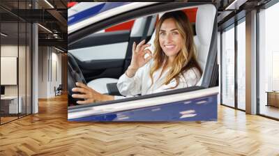 Driver woman buyer client in shirt hold put hand on steering wheel show oka gesture choose auto want buy new automobile in car showroom vehicle salon dealership store motor show indoor. Sales concept. Wall mural