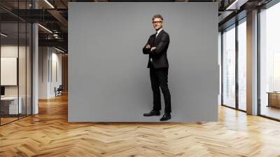 Full body side view fun adult successful employee business man corporate lawyer wear classic formal black suit shirt tie work in office look camera isolated on plain grey background studio portrait. Wall mural