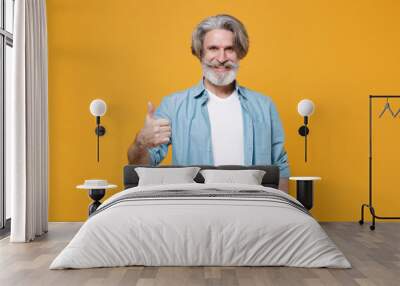 Smiling elderly gray-haired mustache bearded man in casual blue shirt posing isolated on yellow background studio portrait. People emotions lifestyle concept. Mock up copy space. Showing thumb up. Wall mural