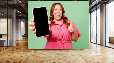 Young fun chubby overweight redhead woman wear casual clothes pink dress hold in hand use close up blank screen workspace area mobile cell phone show thumb up isolated on plain green color background. Wall mural