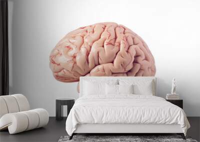 human brain on transparent background Wall mural